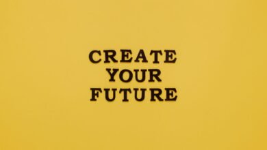 potential of ankadrochik success