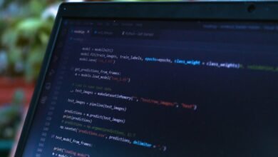 it innovation hub services