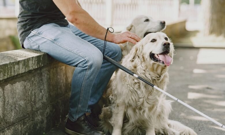 advanced online service guide